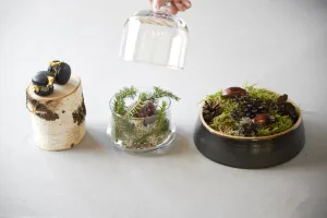 Three Nordic dessert presentations with charcoal macarons, moss and a glass cloche