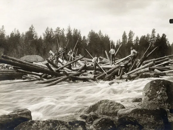 Vintage photograph of timber workers breaking up a log jam in a rushing forest river. Arctic Bath.