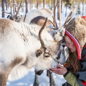 Sámi woman in traditional fur hat gently touching foreheads with a reindeer in a snowy forest