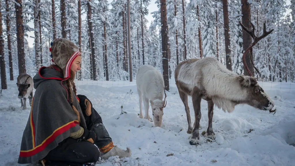 Woman in traditional Sámi clothing sitting in a snowy pine forest among reindeer