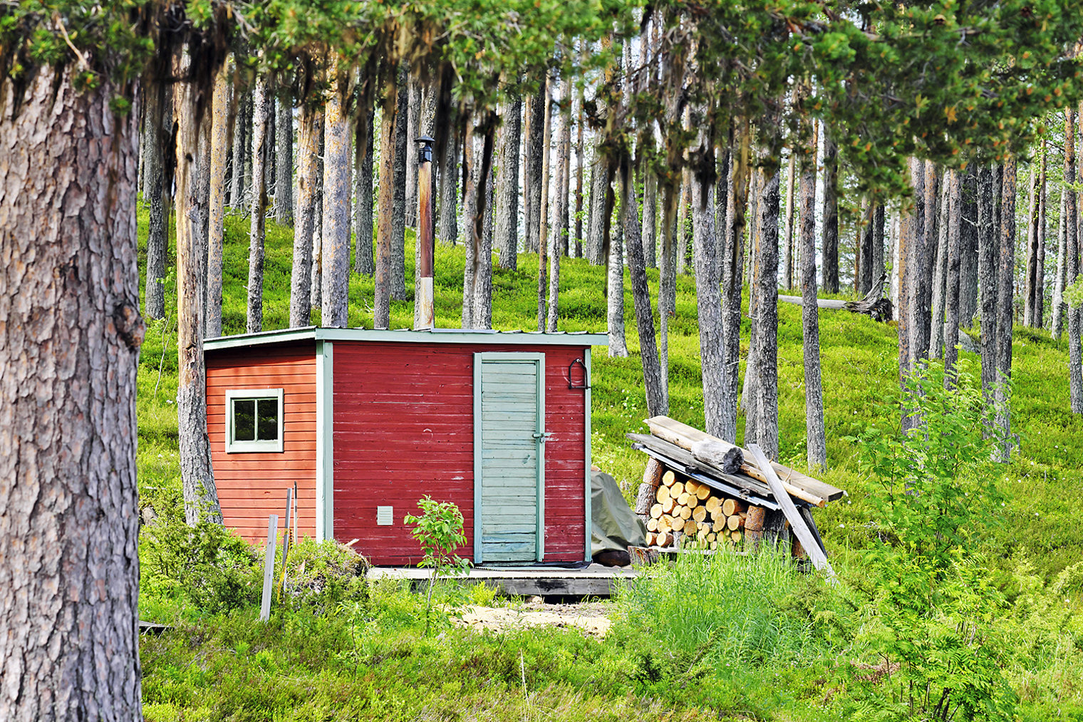 Wilderness Photo 6