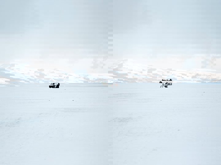 Pexels Sahin Sezer Dincer 3686777