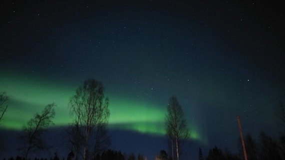 Norrsken i Lappland med grönt ljus över skog och vinterlandskap.