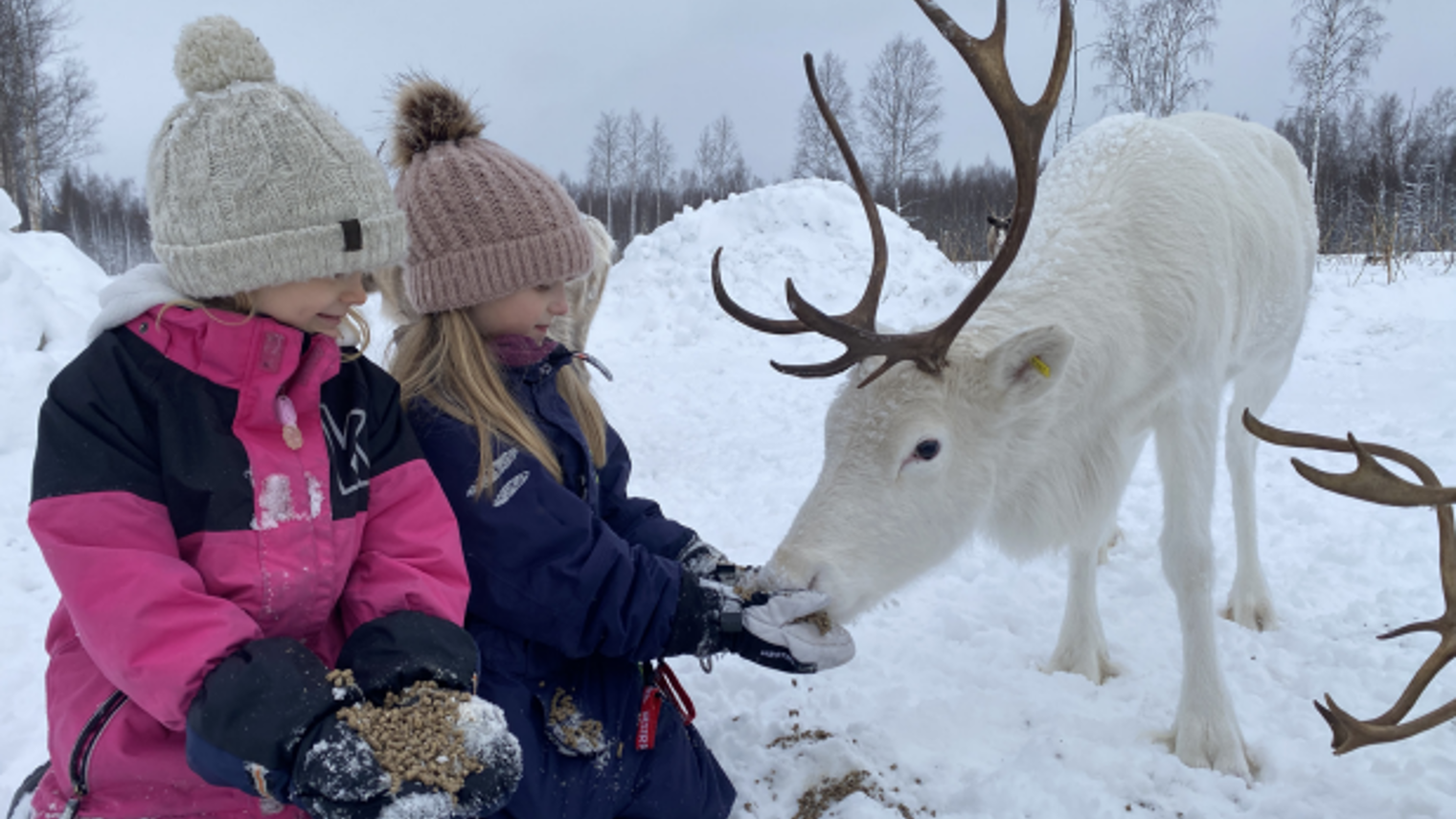 Skärmbild 20230227 142802