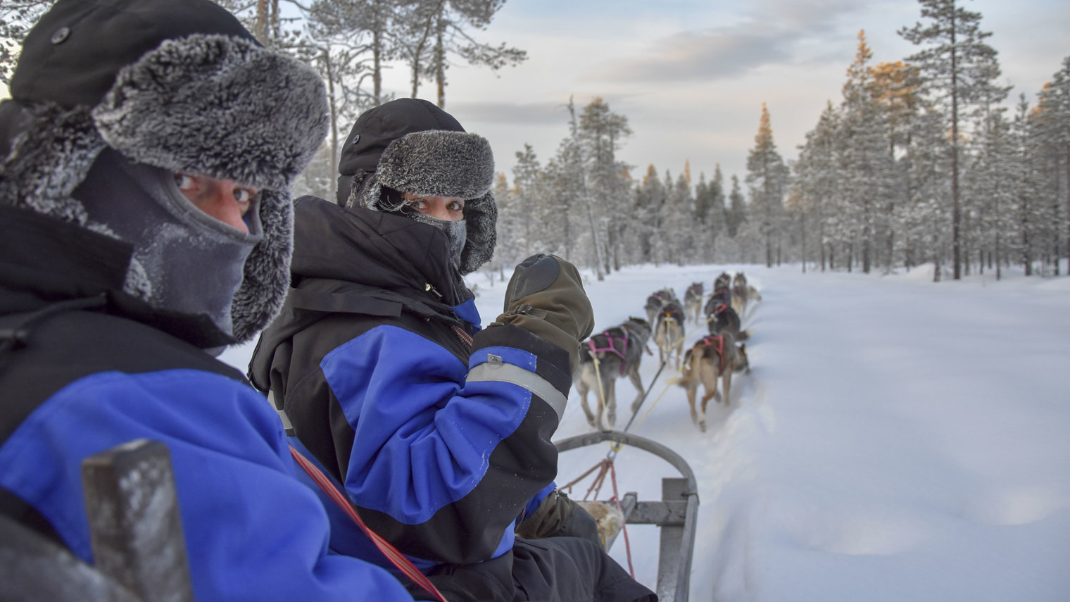 Husky Sled Ride