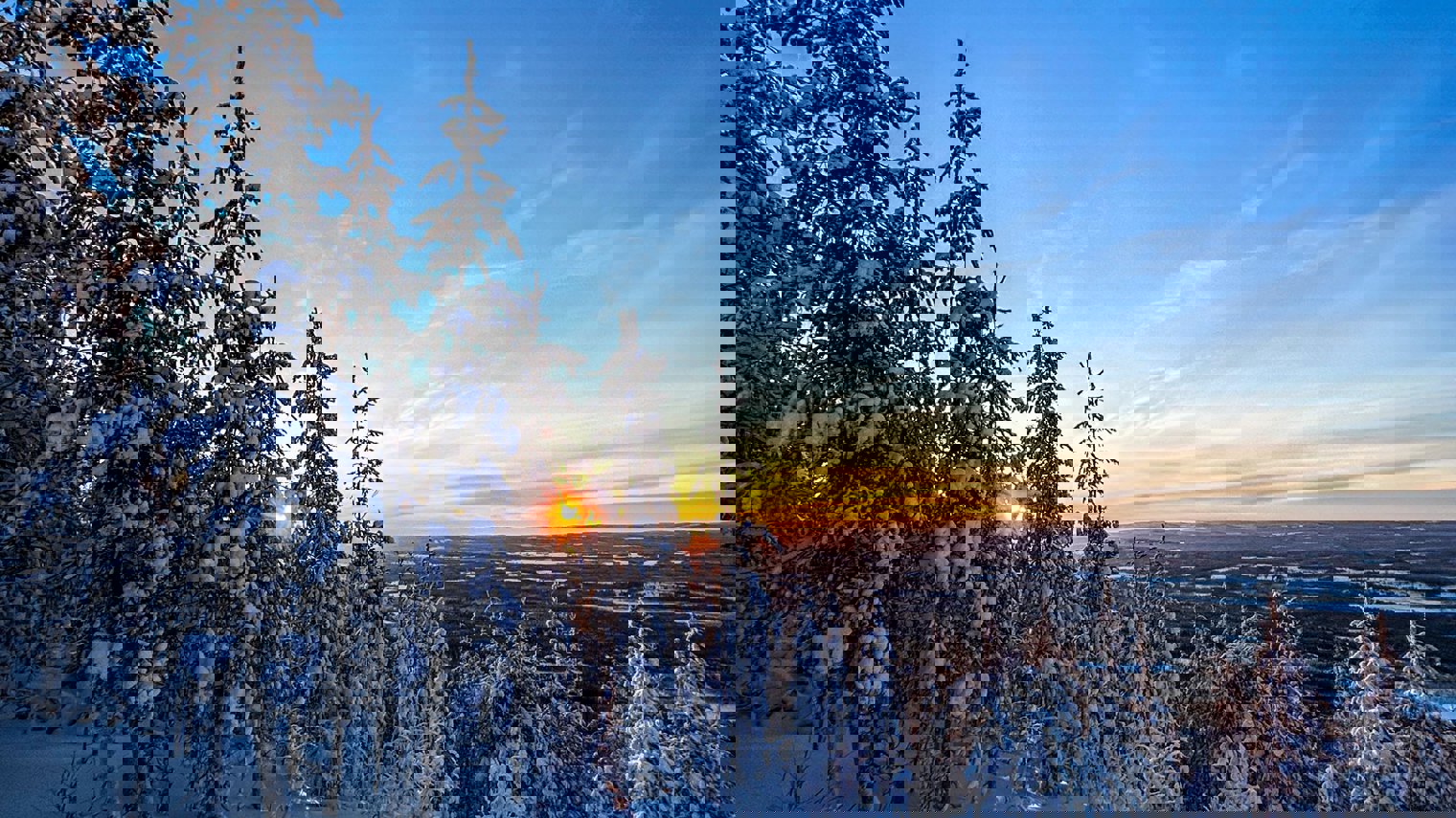 IMG 20230121 WA0018