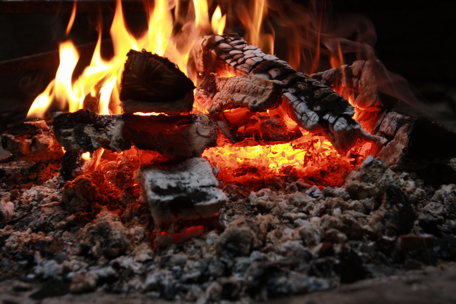 Campfire Photo Love Rynbäck