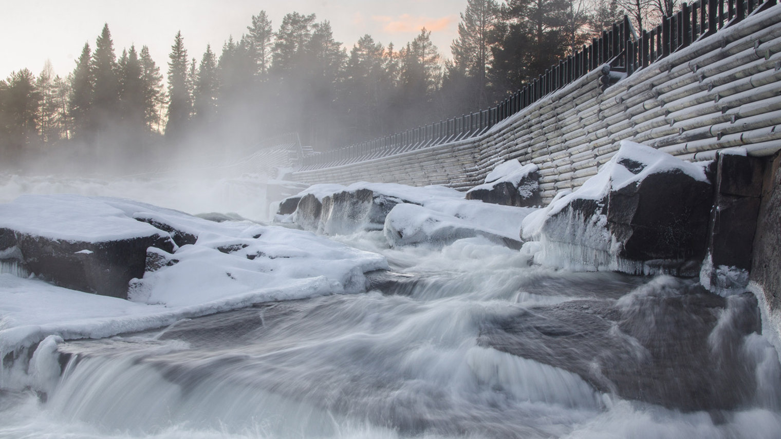Upptäck Storforsen – Dagstur med Arctic Bath