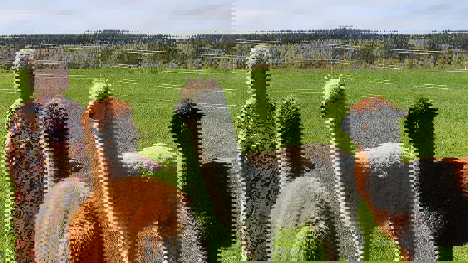 198572375 939579796838127 5452138632425995086 N (1)