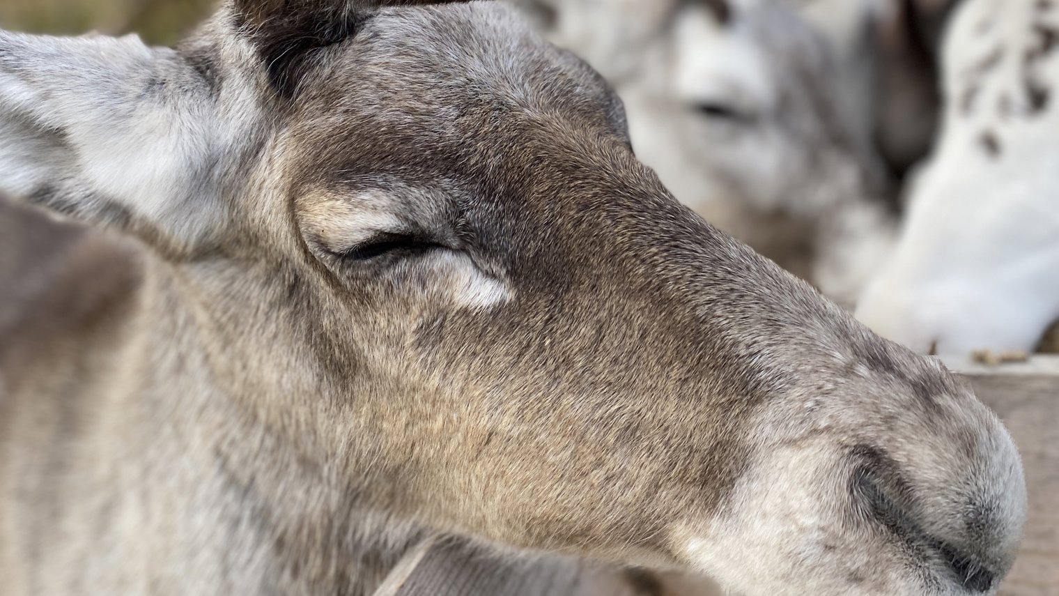 20200918 074109051 Ios