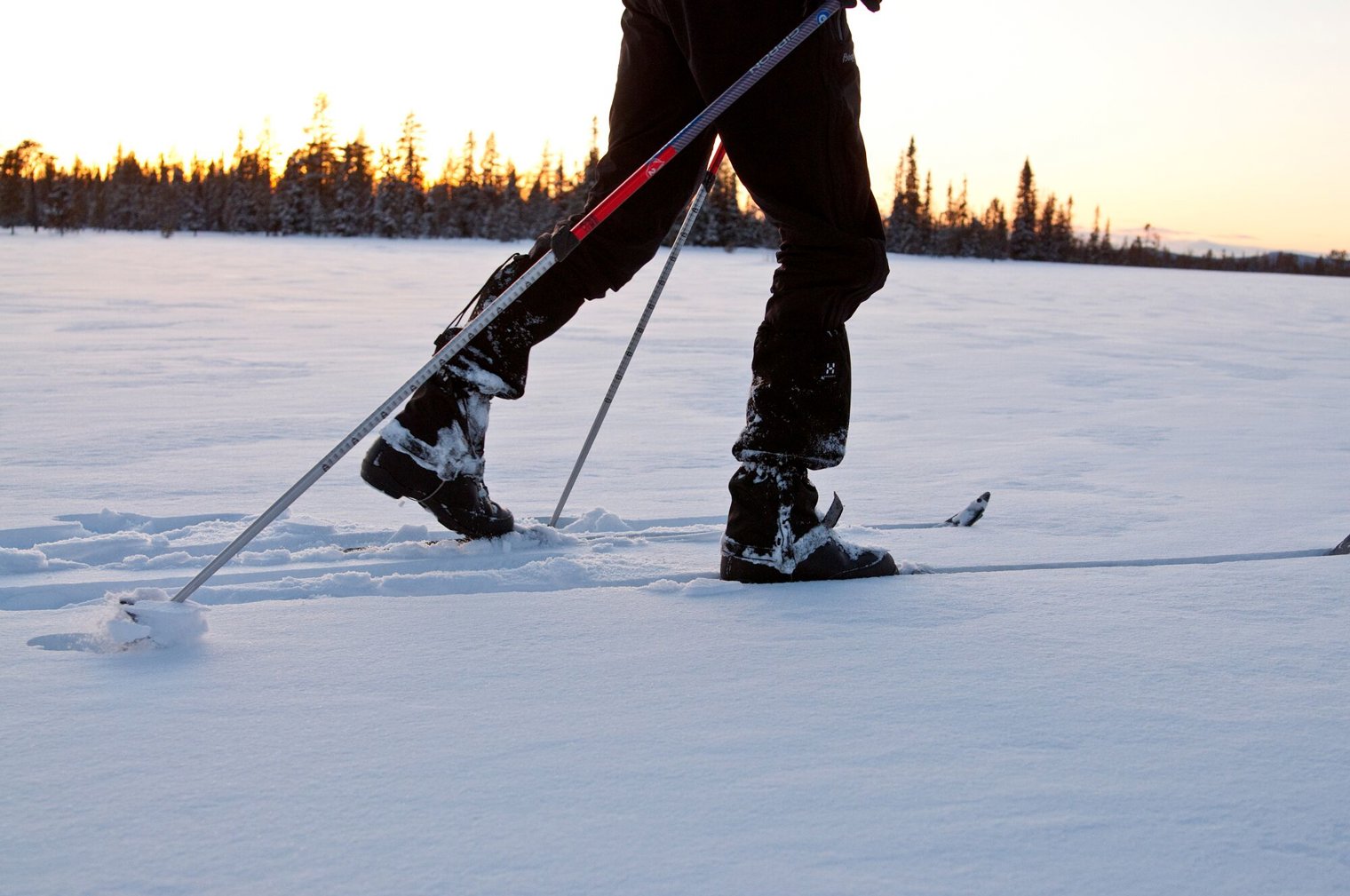 Skiing.Jpeg