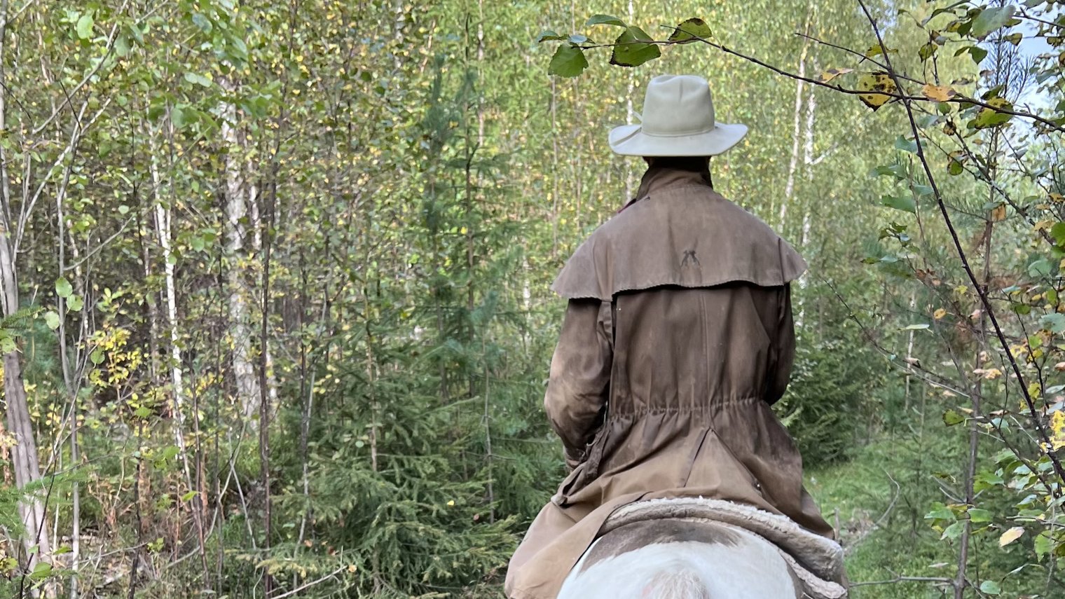 Familjevänlig turridning på lugna hästar i Norrland