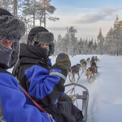 Husky Sled Ride (1)