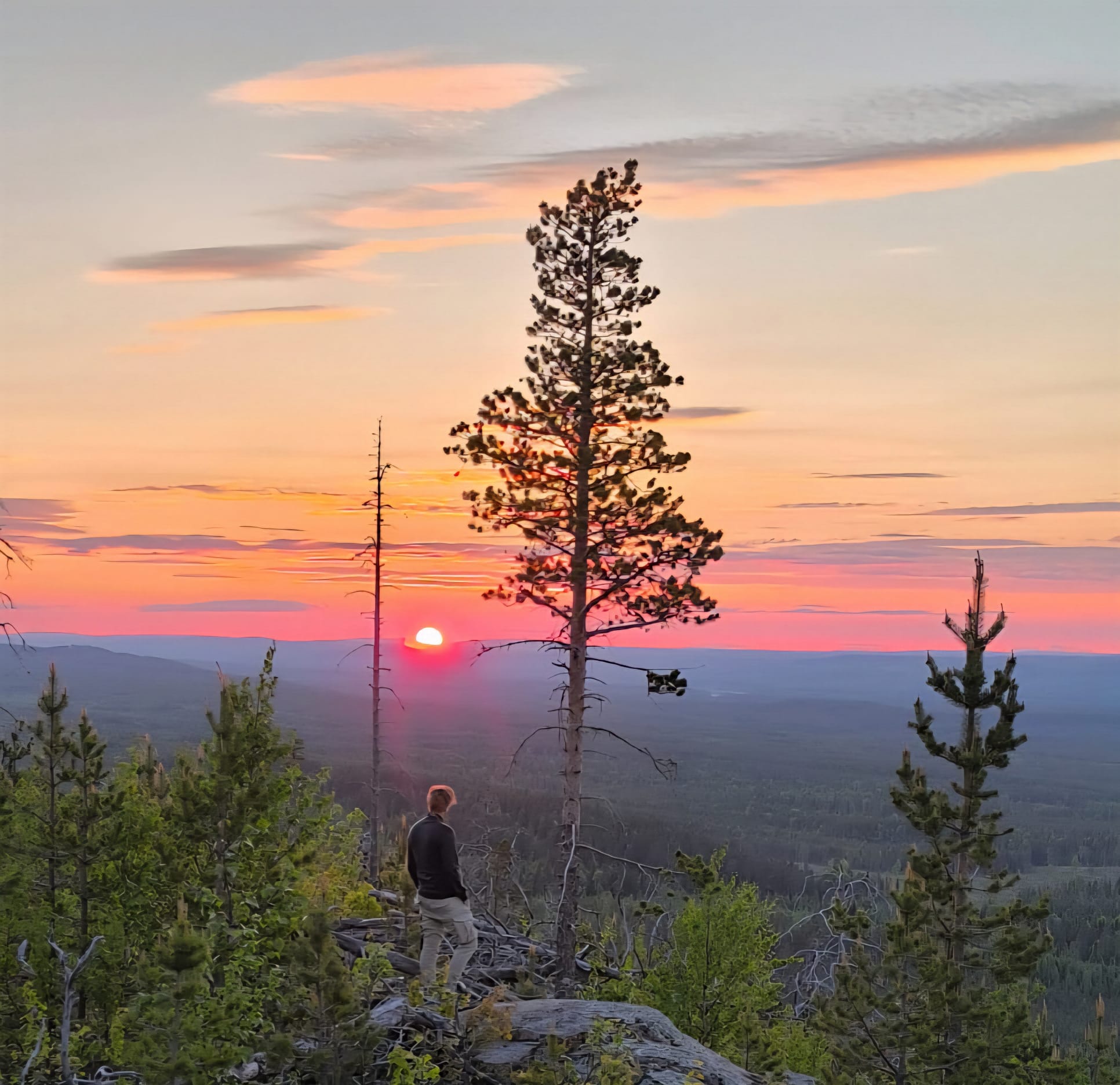 Midnattsolen På Kusåberget Novak