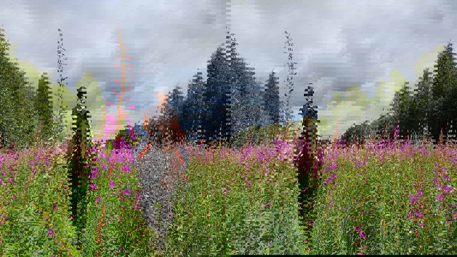 Turridning i Norrland på Rånisgårdens westernhästar