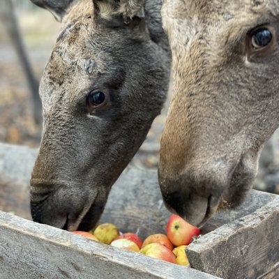 20211001 112935435 Ios