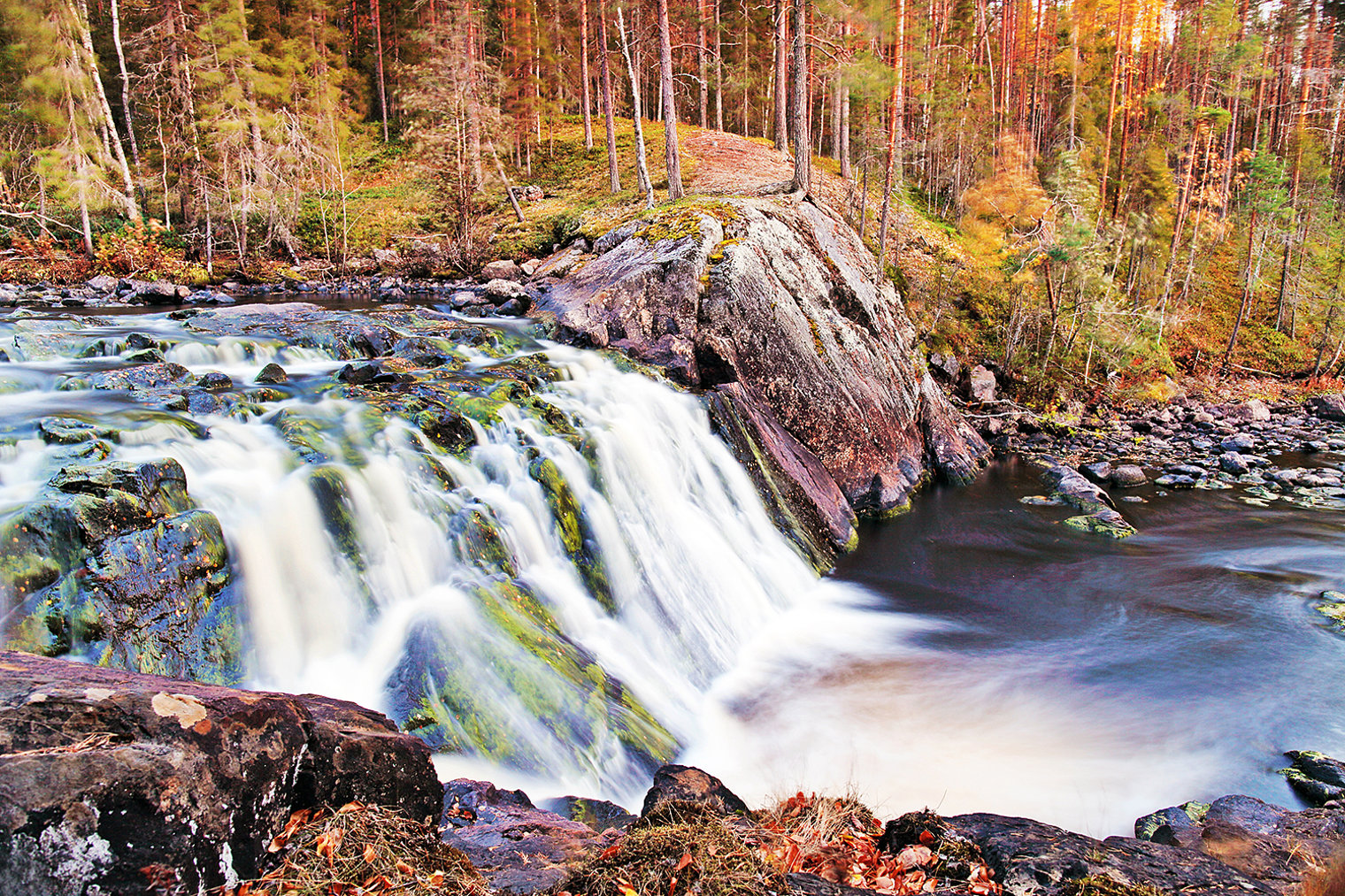 Wilderness Photo 3
