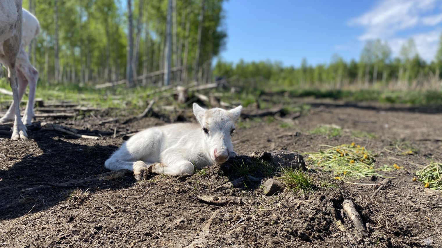 20210606 093908688 Ios