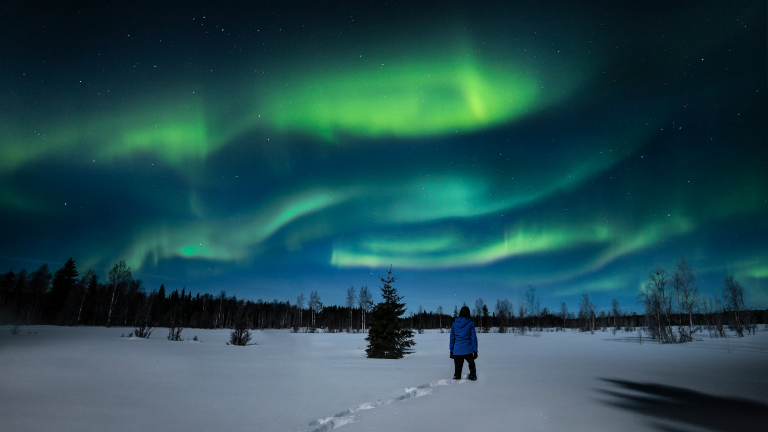 Northern Light