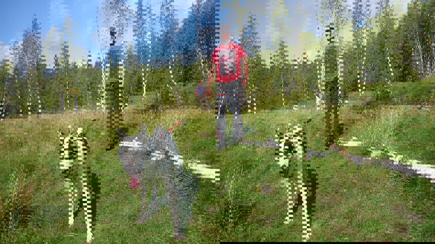 Huskyhike 1