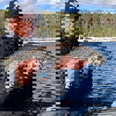 180208625 5434620259946696 6906439371205761953 N