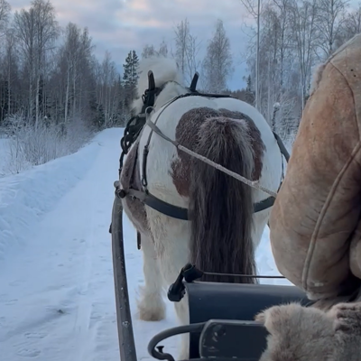 Skärmbild 2023 05 29 124819