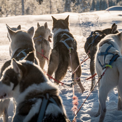 Frosty Trails 2 (1)